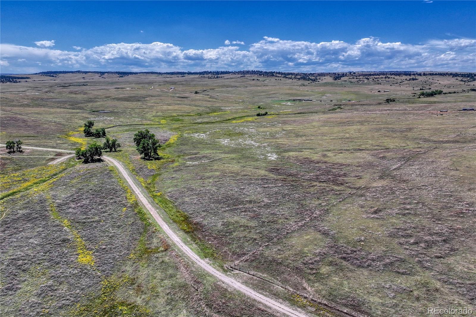 Fiddleback Ranch Road Kiowa, CO 80117 - Photo 11 of 28 a view of a sky from a yard