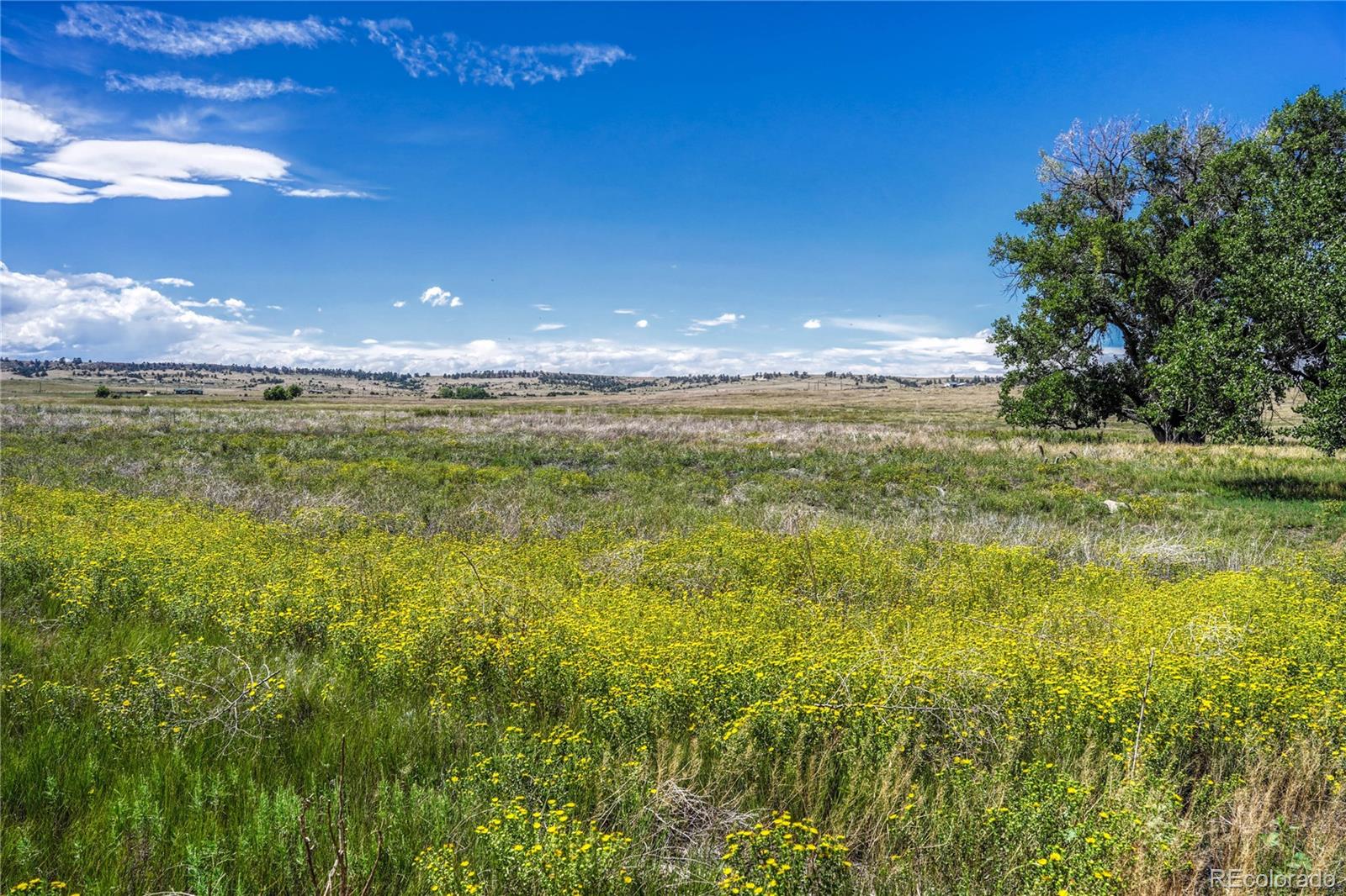 Fiddleback Ranch Road Kiowa, CO 80117 - Photo 13 of 28 a view of an ocean from a yard