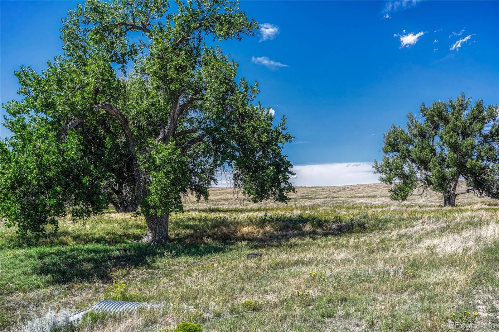 Fiddleback Ranch Road Kiowa, CO 80117 - Photo 16 of 28 a view of backyard with green space