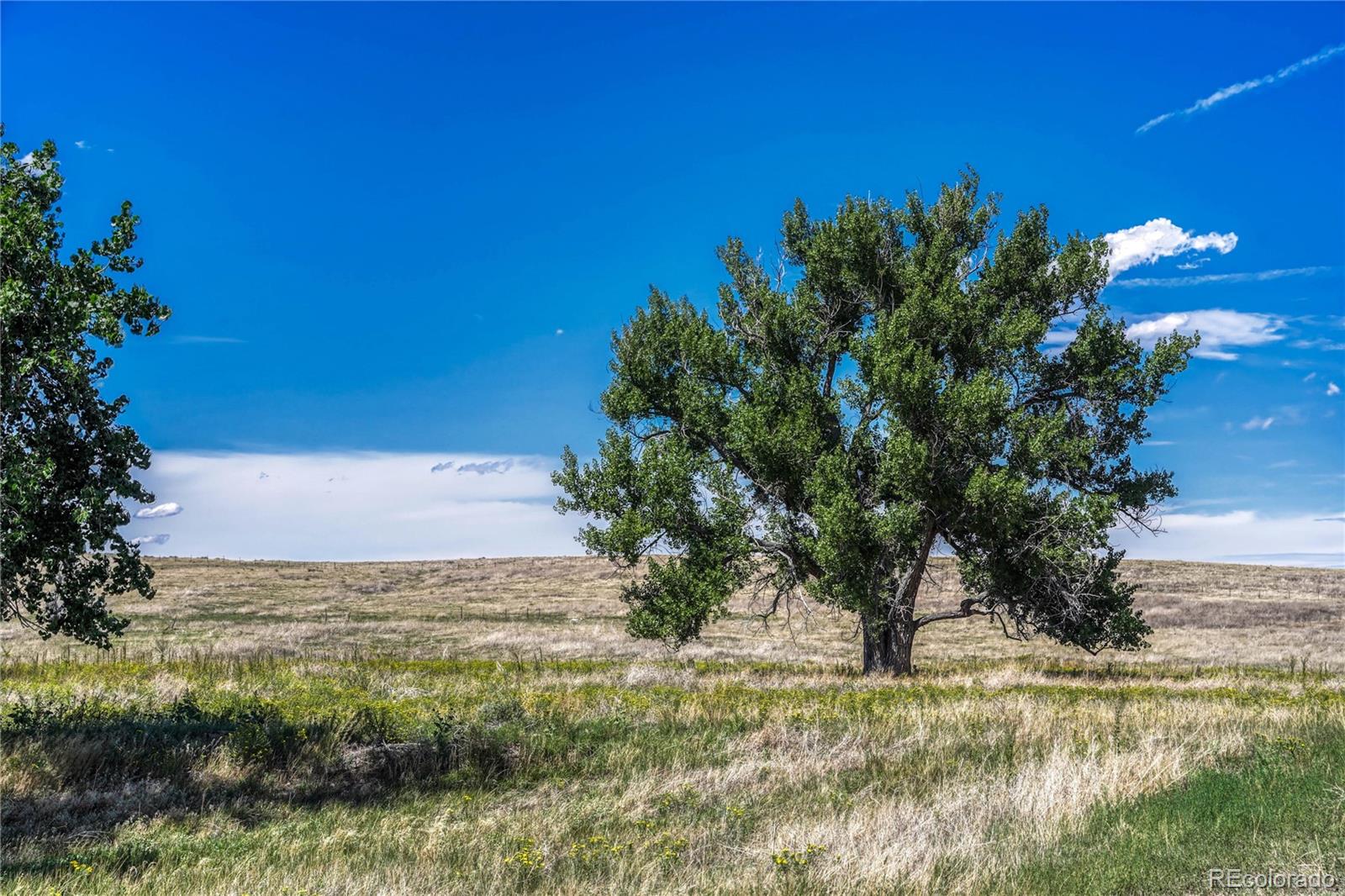 Fiddleback Ranch Road Kiowa, CO 80117 - Photo 18 of 28 a view of a yard