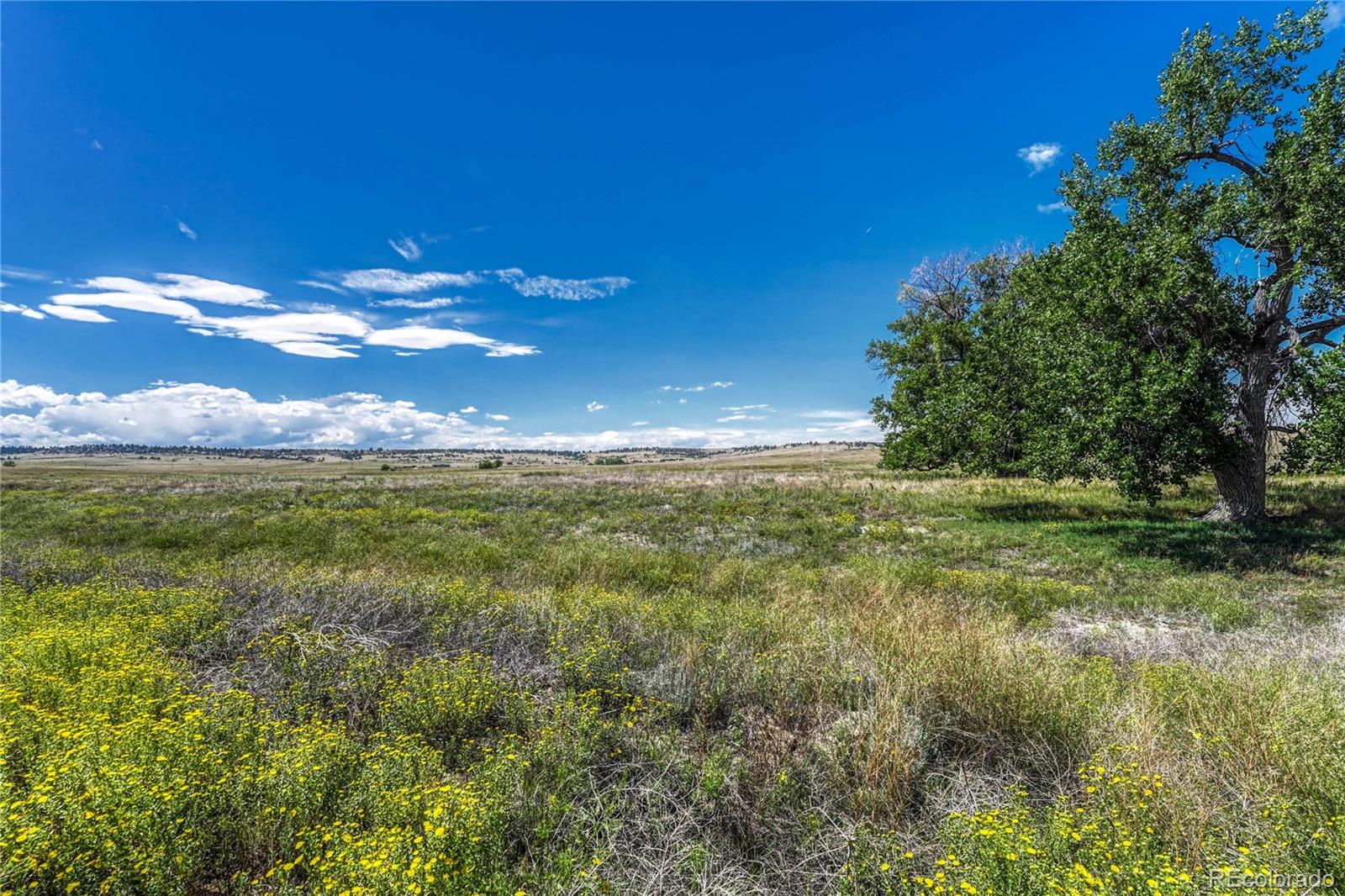 Fiddleback Ranch Road Kiowa, CO 80117 - Photo 19 of 28 a view of an outdoor space and a yard