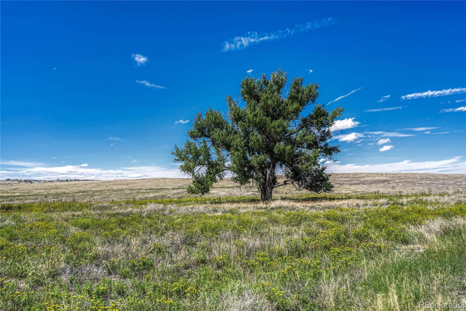 Fiddleback Ranch Road Kiowa, CO 80117 - Photo 20 of 28 a view of a yard with an outdoor space