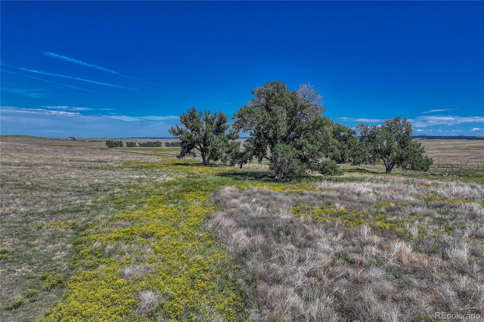 Fiddleback Ranch Road Kiowa, CO 80117 - Photo 25 of 28 a view of a field with an trees