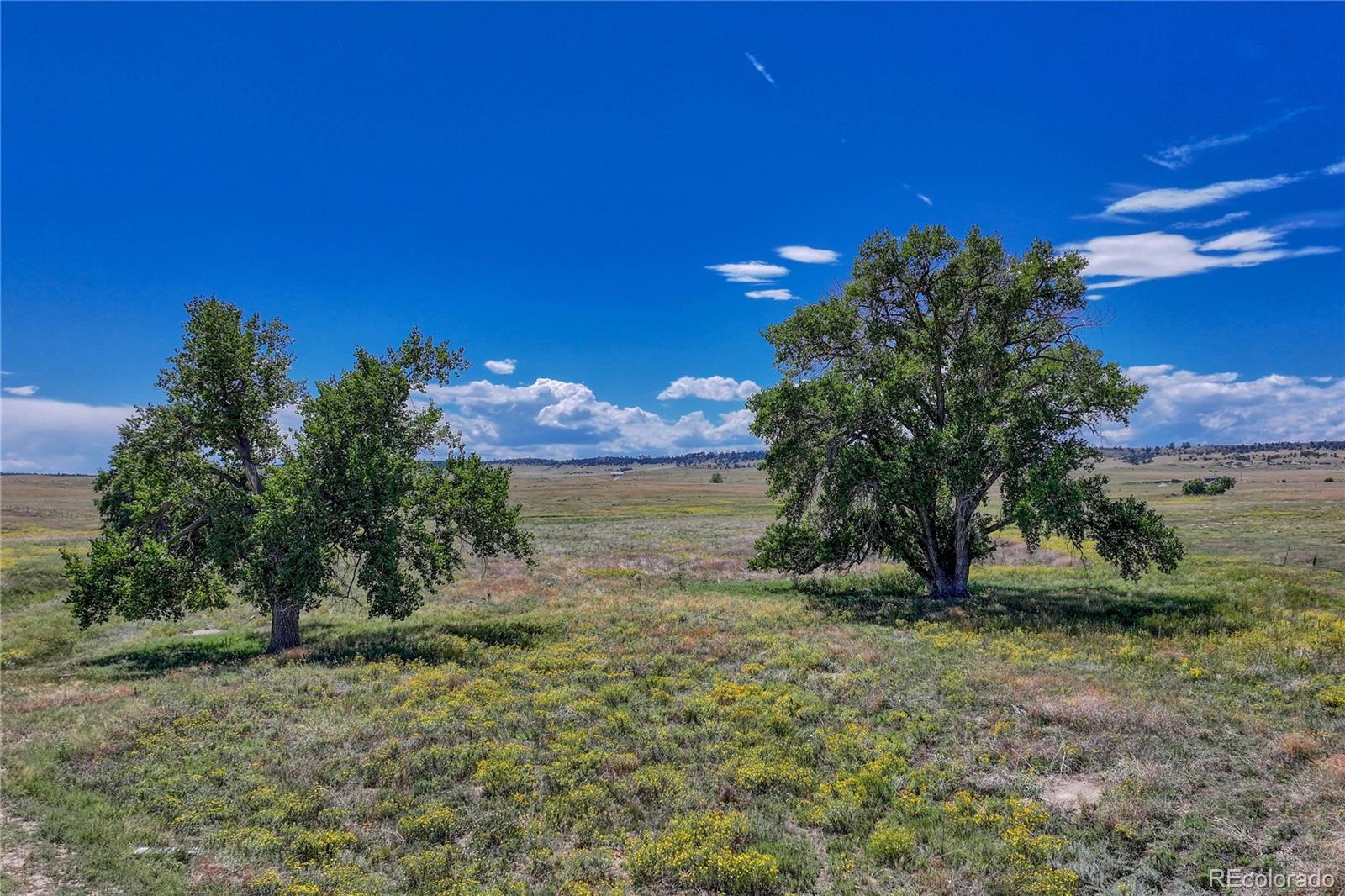 Fiddleback Ranch Road Kiowa, CO 80117 - Photo 26 of 28 a view of a lake with a yard
