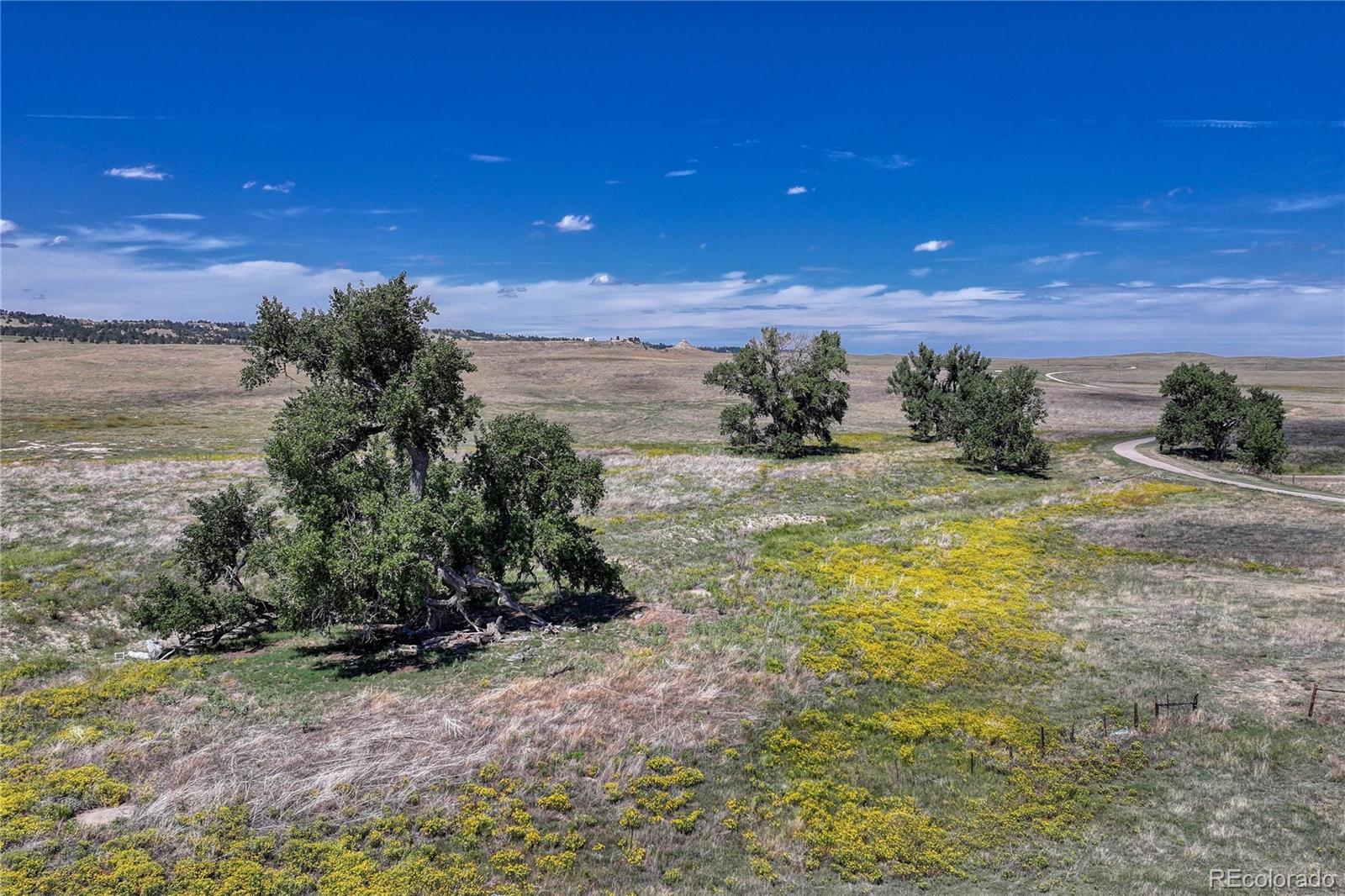 Fiddleback Ranch Road Kiowa, CO 80117 - Photo 4 of 28 a view of a pathway with a yard