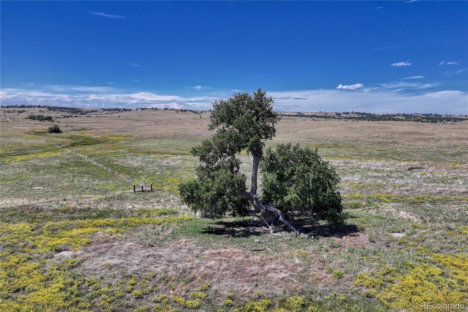 Fiddleback Ranch Road Kiowa, CO 80117 - Photo 5 of 28 a view of a lake with a big yard