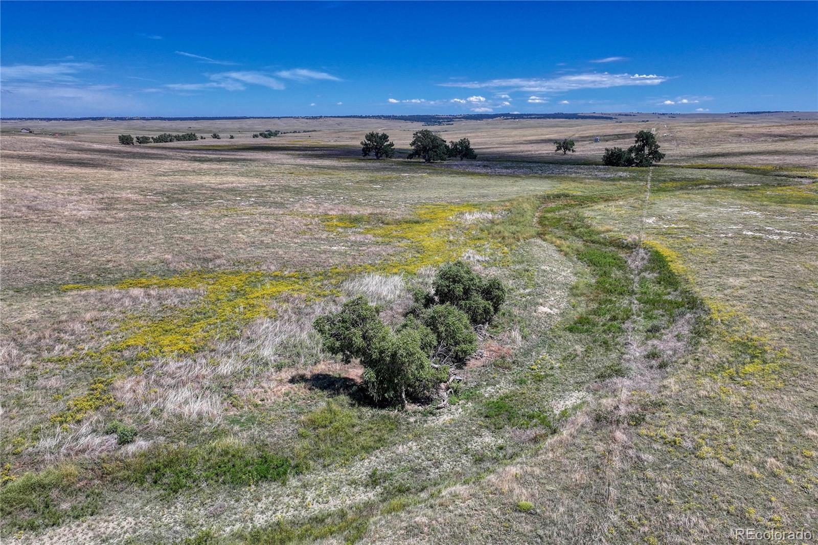 Fiddleback Ranch Road Kiowa, CO 80117 - Photo 8 of 28 a view of an ocean