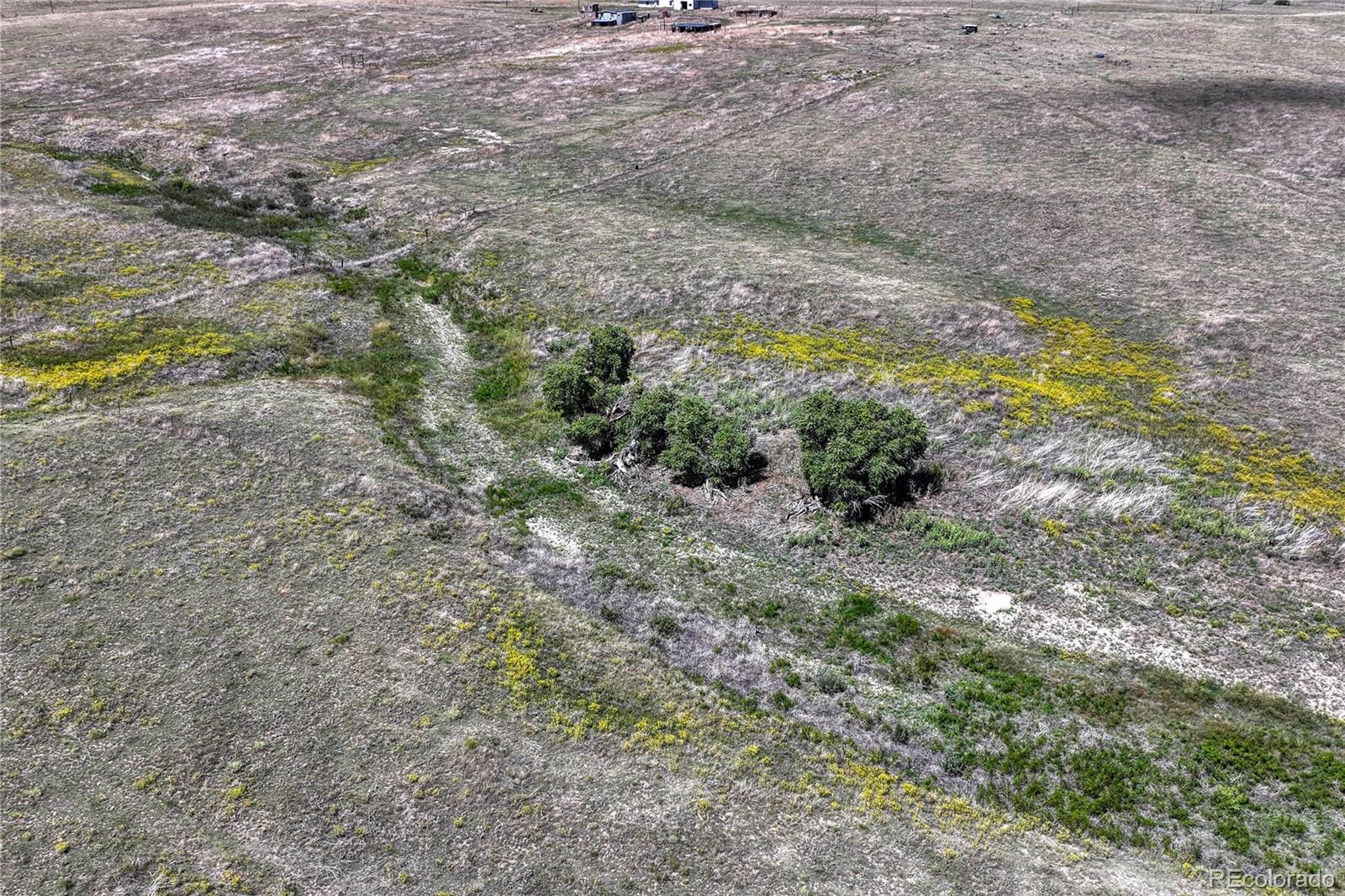 Fiddleback Ranch Road Kiowa, CO 80117 - Photo 10 of 28 a view of a yard with a tree