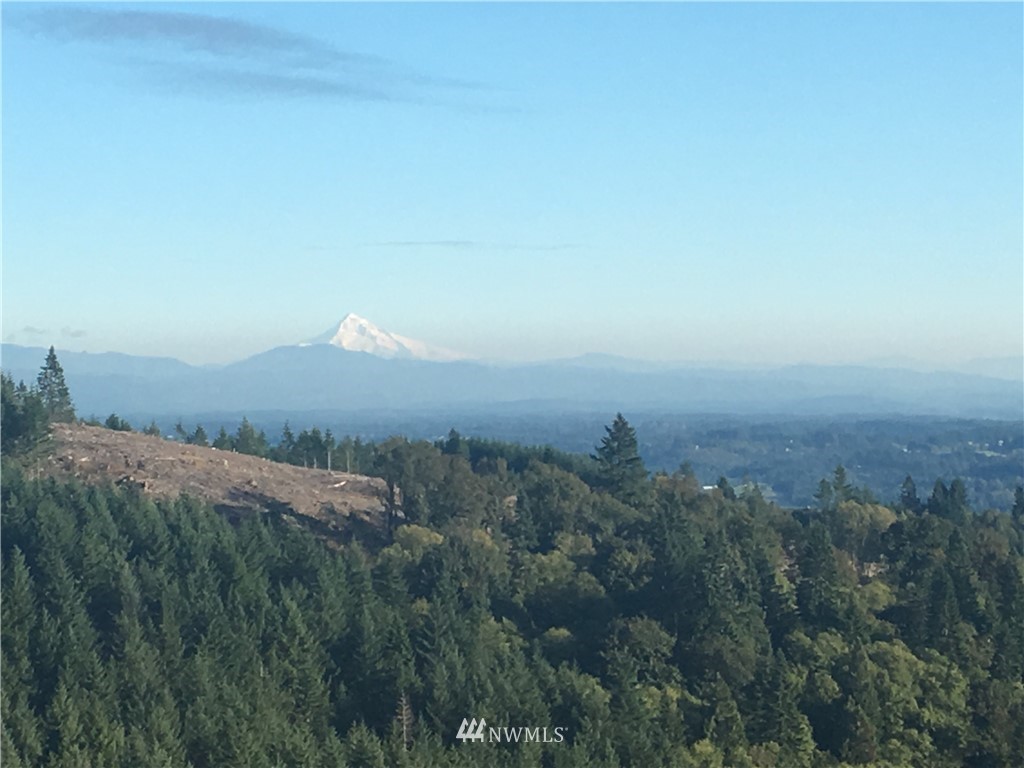 321 Rocky Top Road Kalama, WA 98625 - Photo 2 of 13 Gallery Image 2