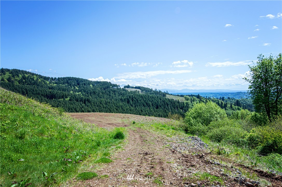321 Rocky Top Road Kalama, WA 98625 - Photo 3 of 13 Gallery Image 3