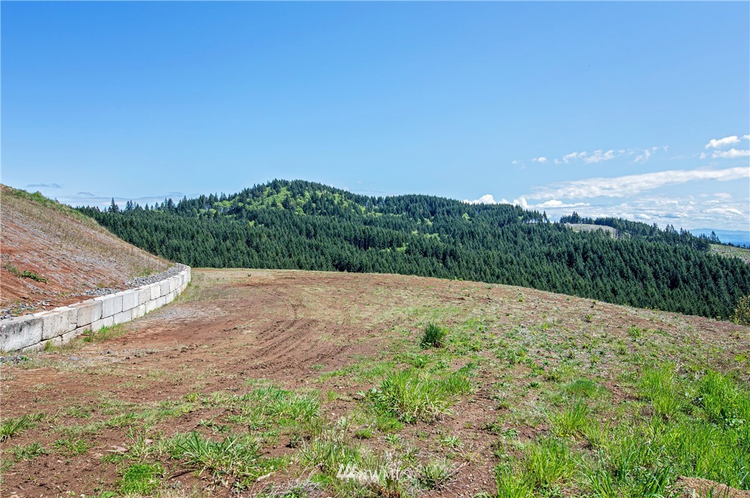 321 Rocky Top Road Kalama, WA 98625 - Photo 4 of 13 Gallery Image 4
