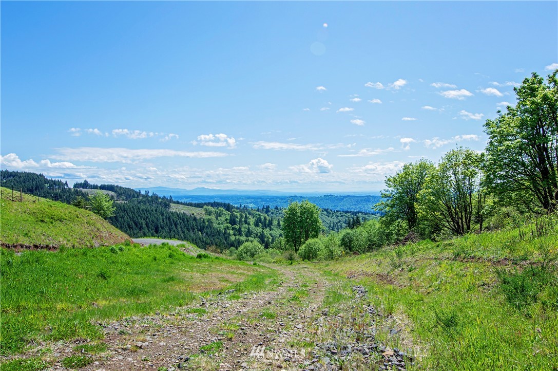 321 Rocky Top Road Kalama, WA 98625 - Photo 5 of 13 Gallery Image 5