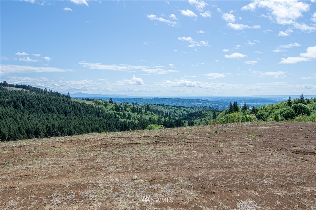 321 Rocky Top Road Kalama, WA 98625 - Photo 6 of 13 Gallery Image 6