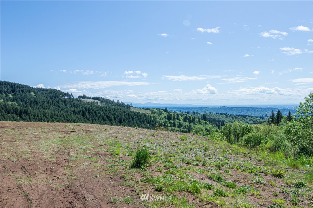 321 Rocky Top Road Kalama, WA 98625 - Photo 8 of 13 Gallery Image 8