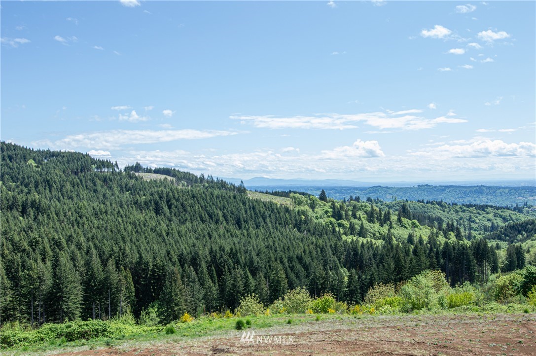 321 Rocky Top Road Kalama, WA 98625 - Photo 10 of 13 Gallery Image 10