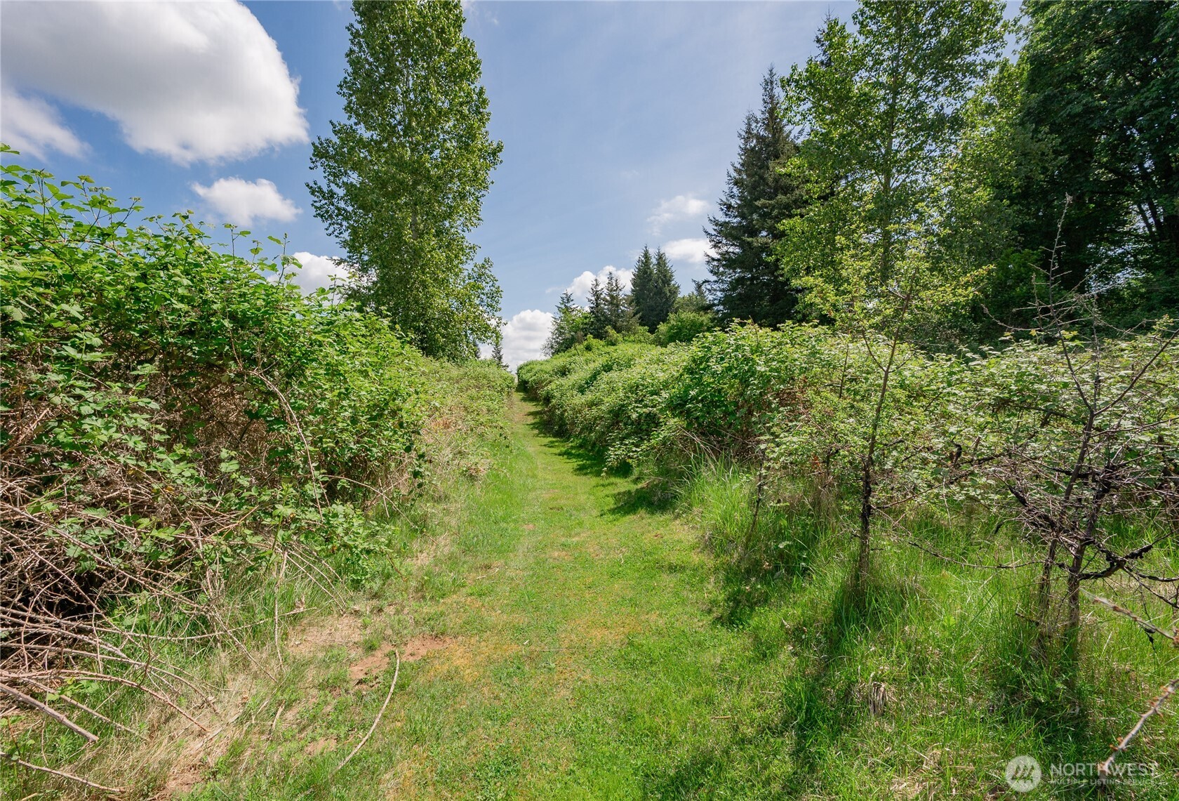 6011 Medcalf Road Bellingham, WA 98226 - Photo 17 of 22 a view of a garden