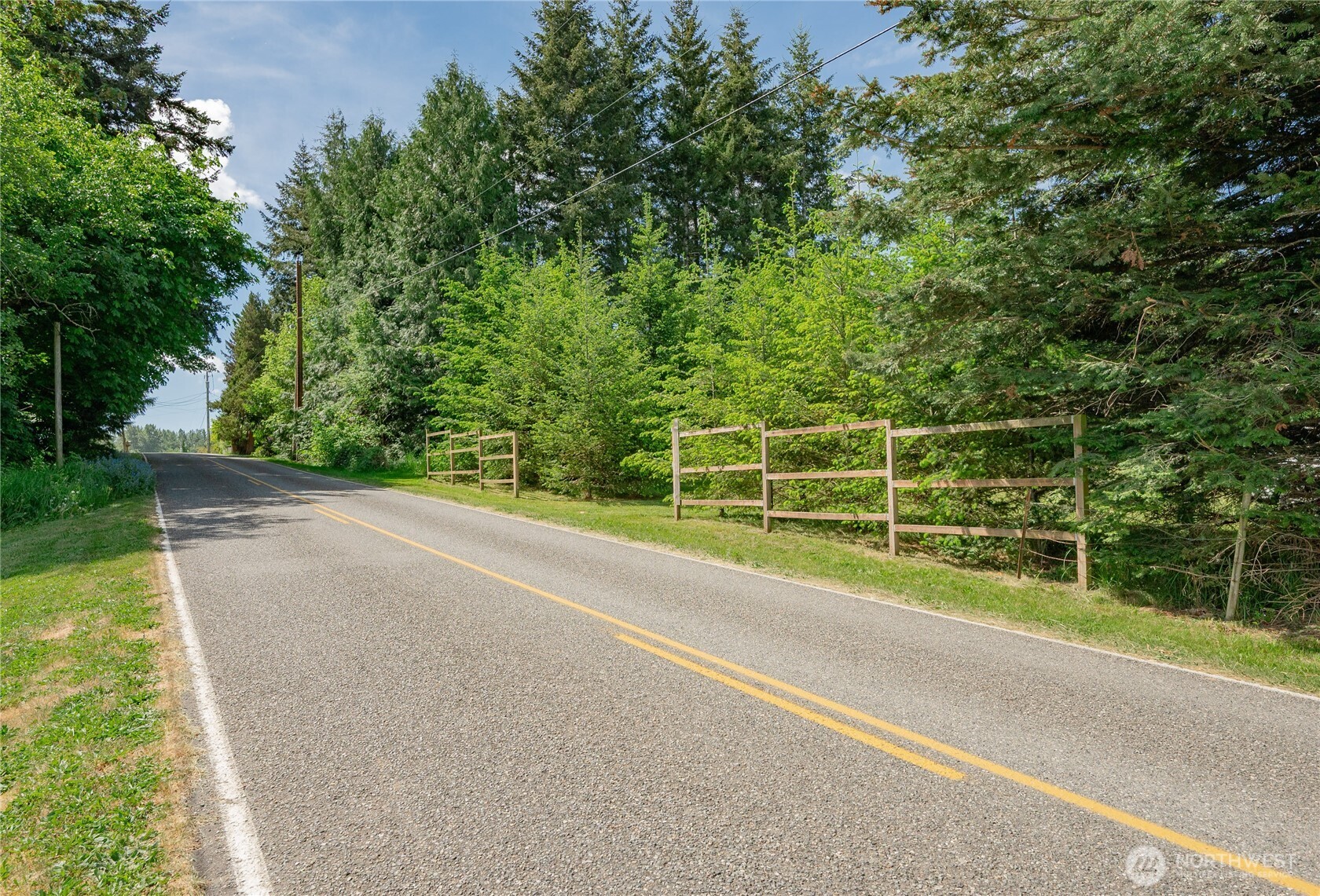6011 Medcalf Road Bellingham, WA 98226 - Photo 21 of 22 a view of a field with large trees