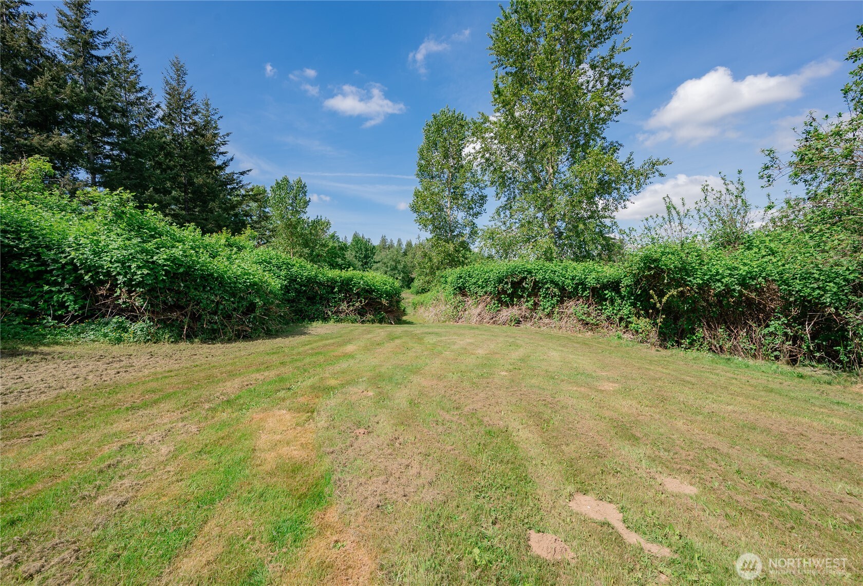 6011 Medcalf Road Bellingham, WA 98226 - Photo 10 of 22 a view of a yard with a house