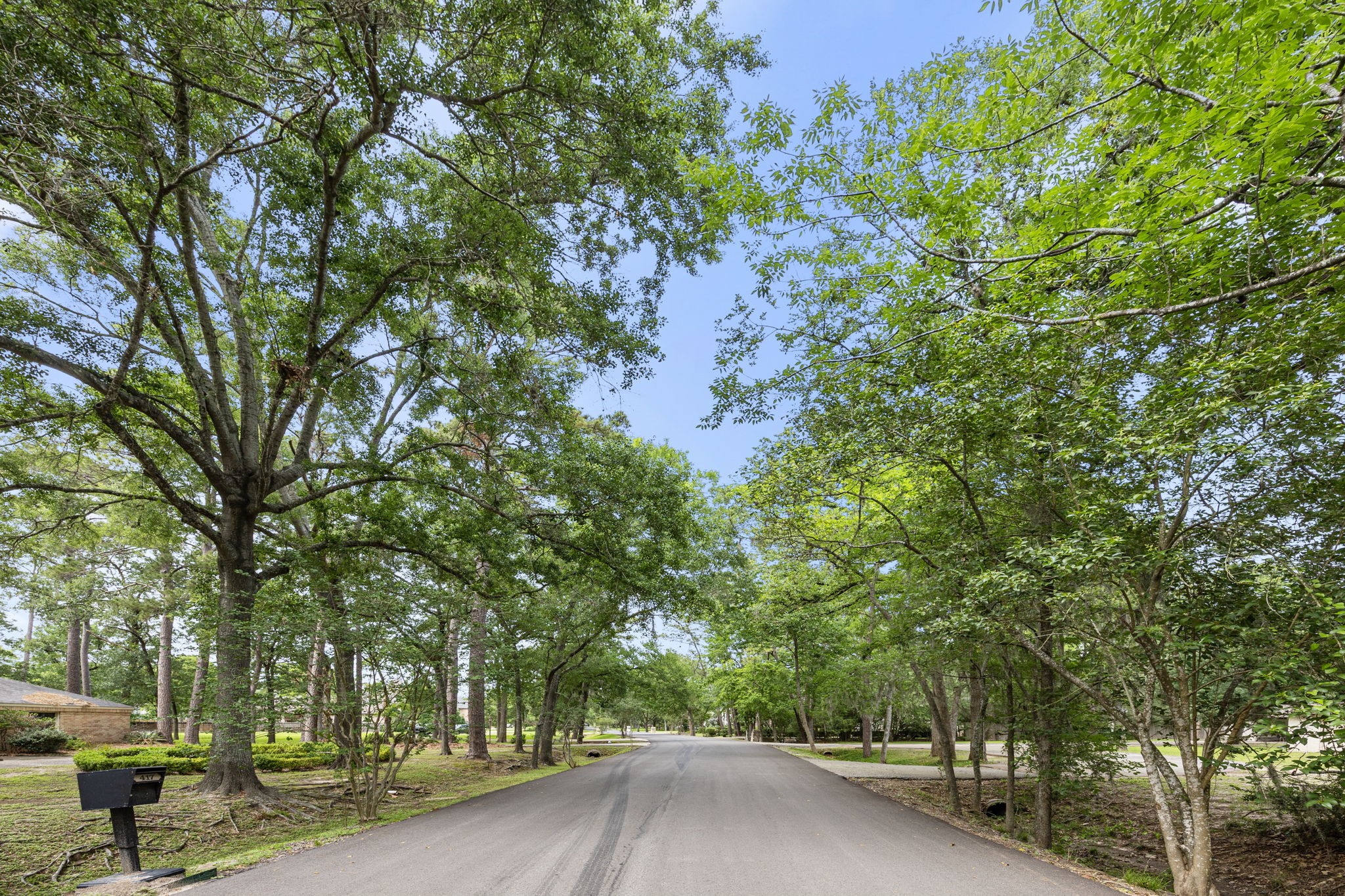 417 Rancho Bauer Drive Houston, TX 77079 - Photo 7 of 10