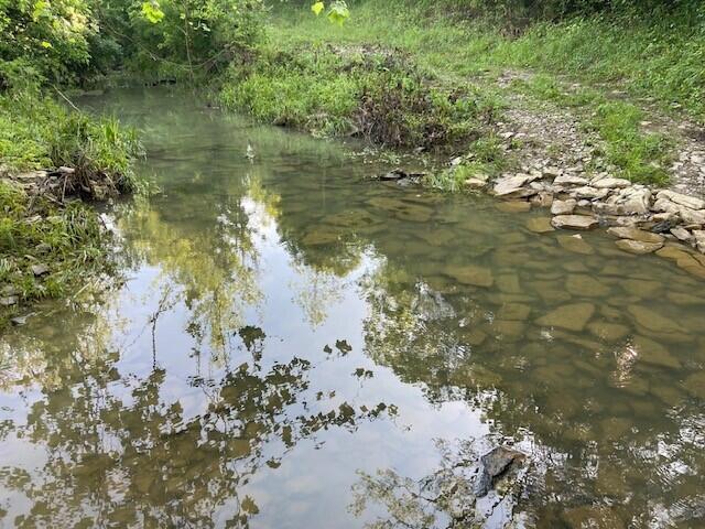 0 Mann Road Mount Olivet, KY 41064 - Photo 23 of 46