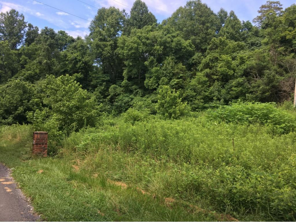 0 Shiloh Church Road Eidson, TN 37731 - Photo 1 of 7 Photo 1