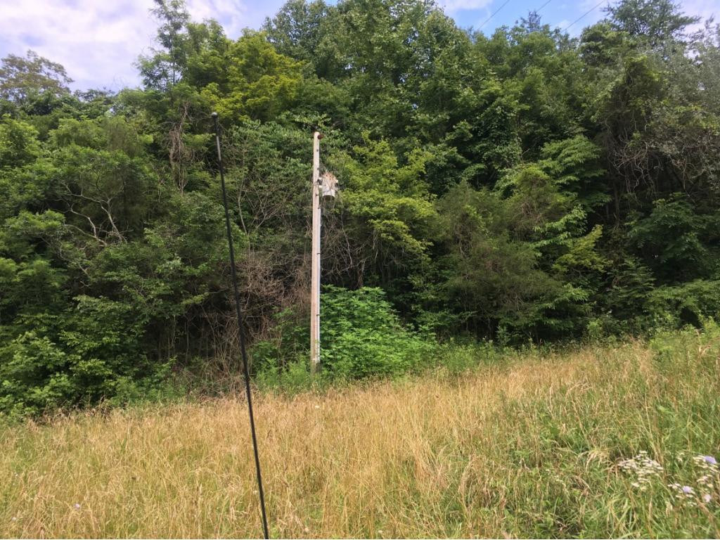 0 Shiloh Church Road Eidson, TN 37731 - Photo 5 of 7 Photo 5