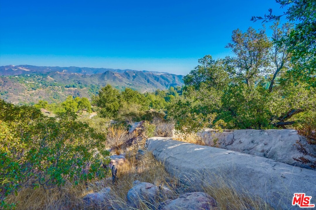 1575 Tuna Canyon Road Topanga, CA 90290 - Photo 4 of 9 a view of a yard with a tree