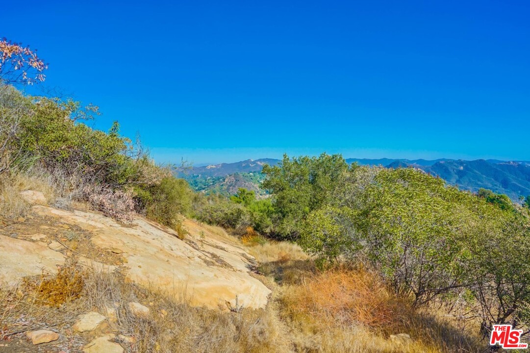 1575 Tuna Canyon Road Topanga, CA 90290 - Photo 6 of 9 a view of a large trees with lots of trees