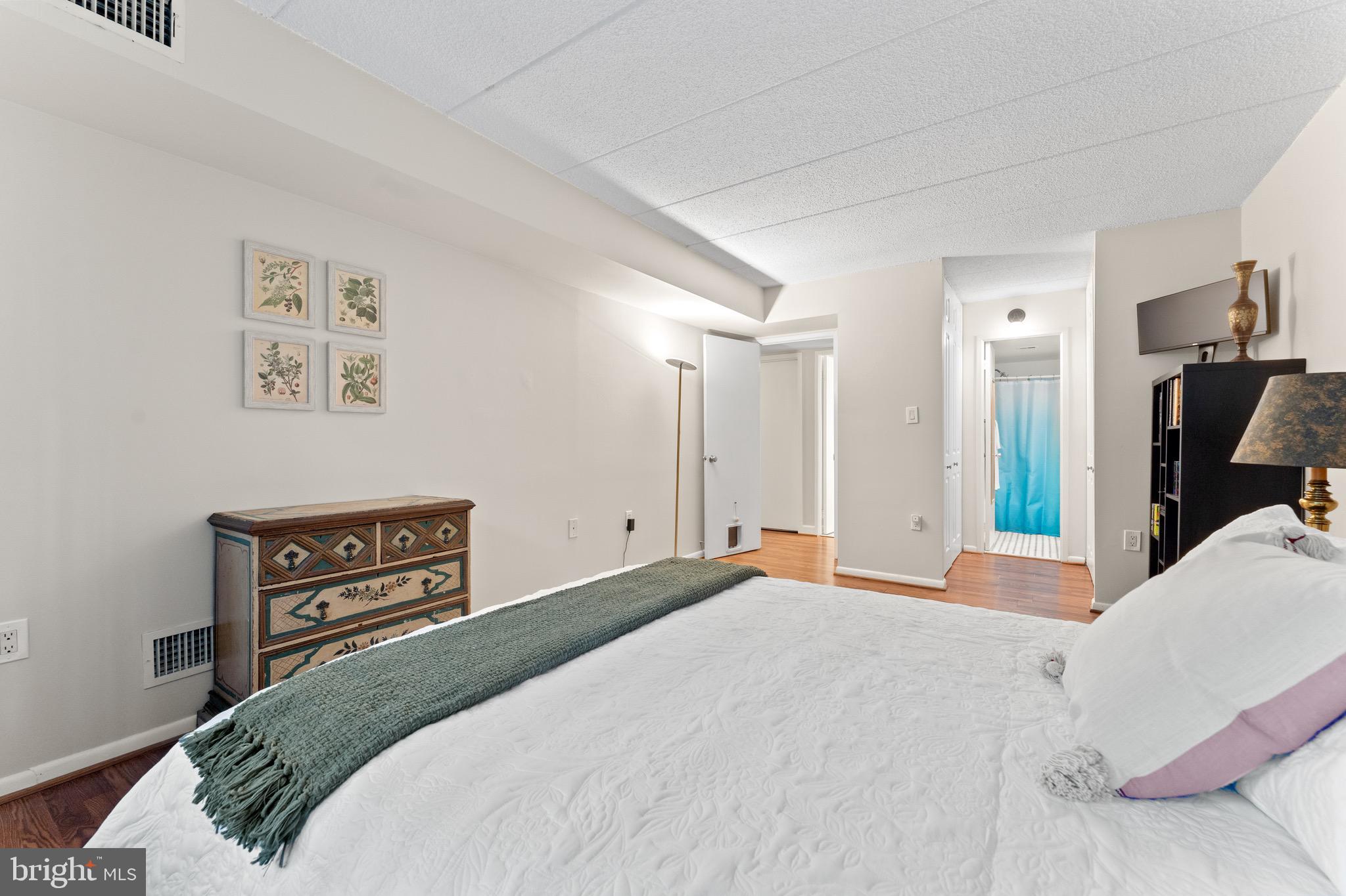 11617 Windbluff Court, Unit 9B Reston, VA 20191 - Photo 28 of 46 Primary bedroom