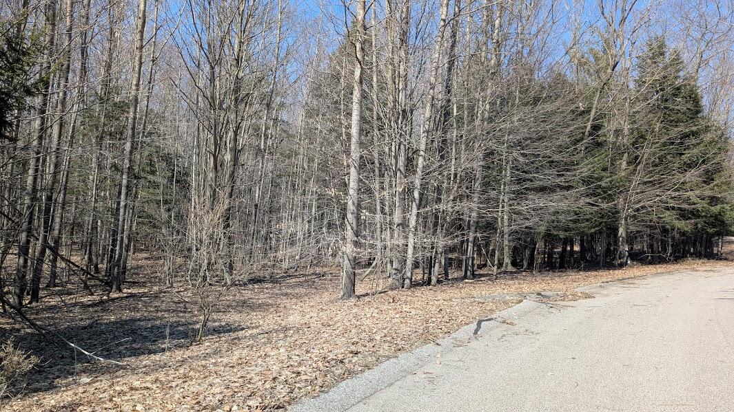 Opal Ridge Drive, Unit 68 Onekama, MI 49675 - Photo 1 of 35 1.34 Acres