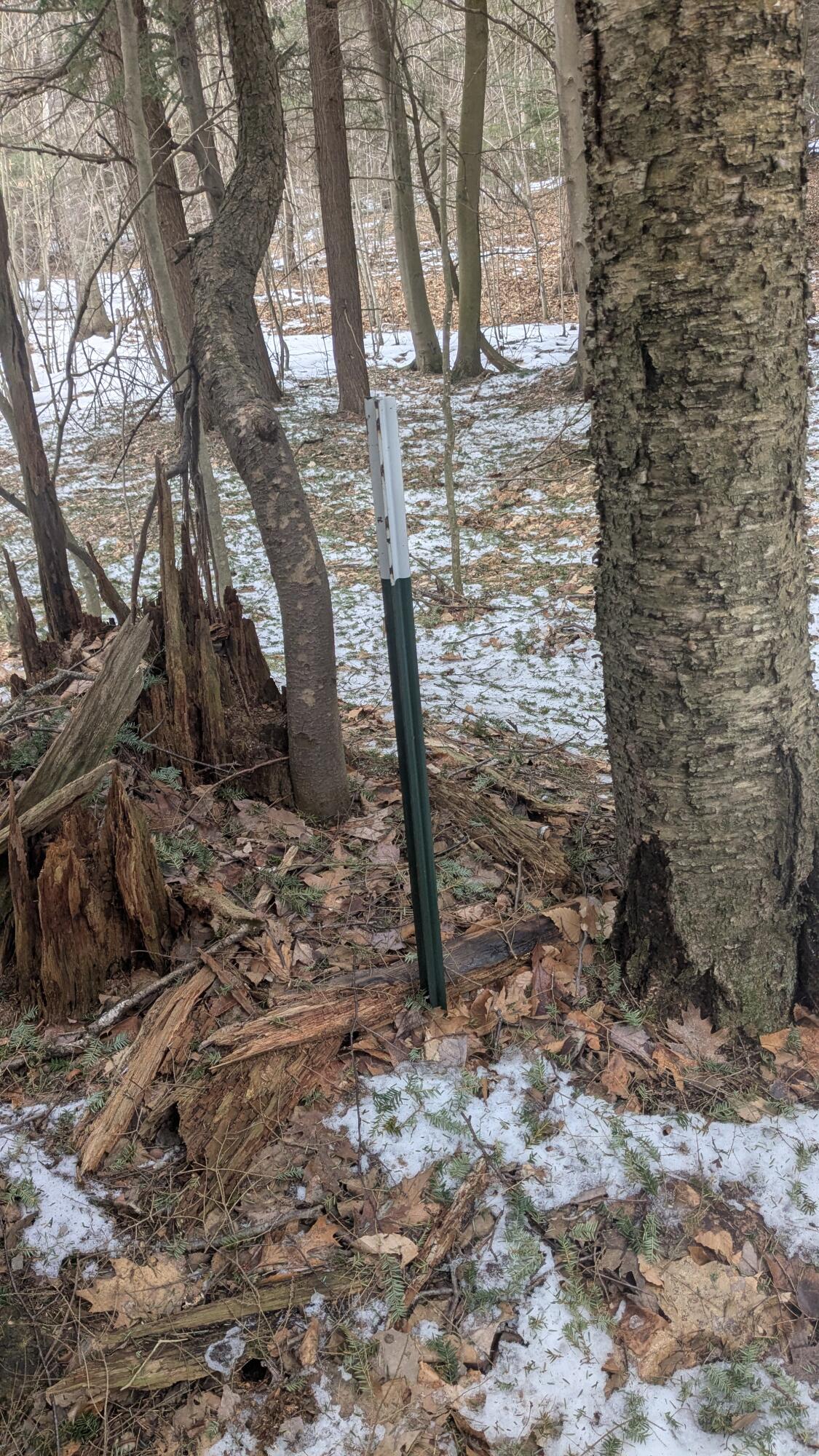 Opal Ridge Drive, Unit 68 Onekama, MI 49675 - Photo 11 of 35 Corner Marker