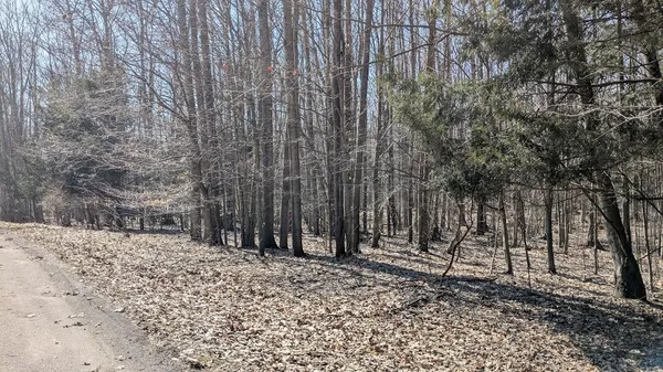 $27,900 | Opal Ridge Drive, Unit 68, Onekama, MI 49675