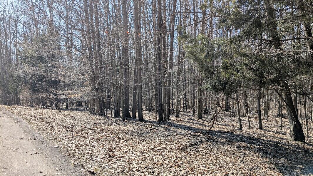 Opal Ridge Drive, Unit 68 Onekama, MI 49675 - Photo 2 of 35 Pick your Building Spot