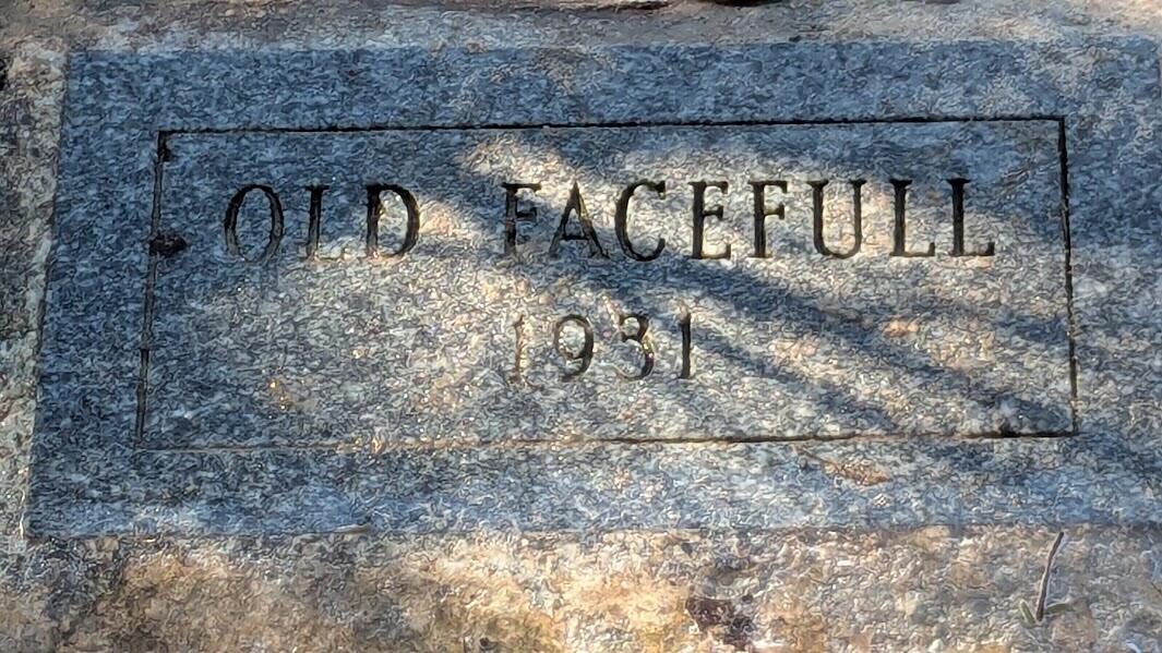 Opal Ridge Drive, Unit 68 Onekama, MI 49675 - Photo 25 of 35 Artesian Well at Pierport