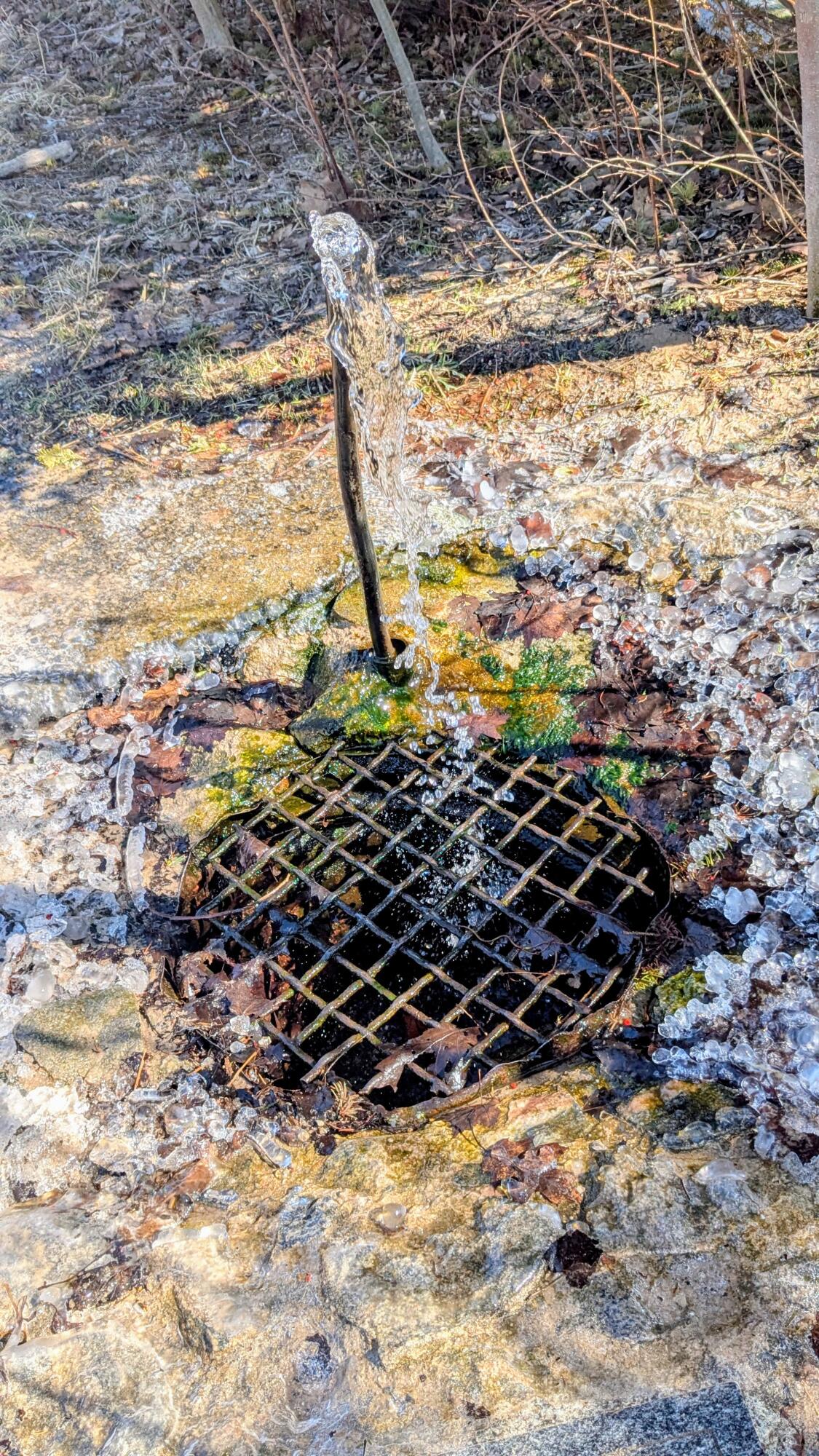 Opal Ridge Drive, Unit 68 Onekama, MI 49675 - Photo 26 of 35 Refreshing Old Facefull