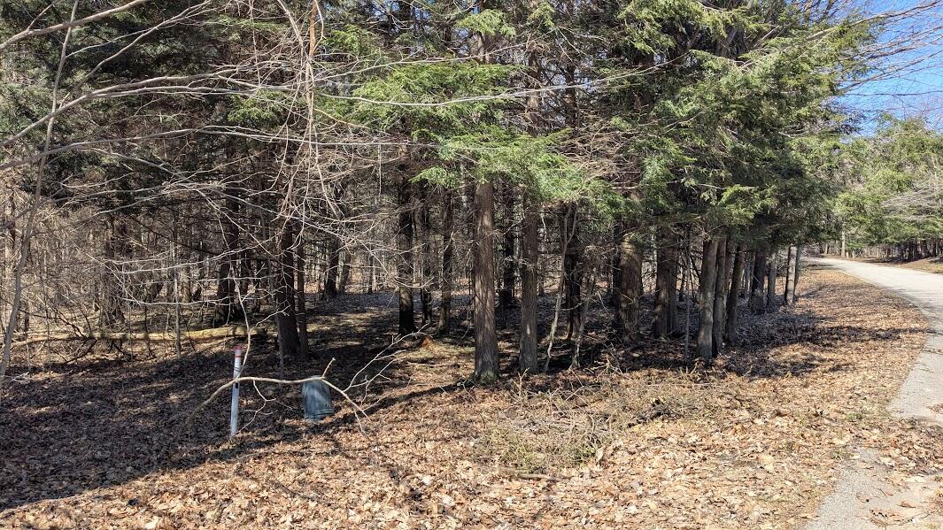 Opal Ridge Drive, Unit 68 Onekama, MI 49675 - Photo 3 of 35 Underground Utilities