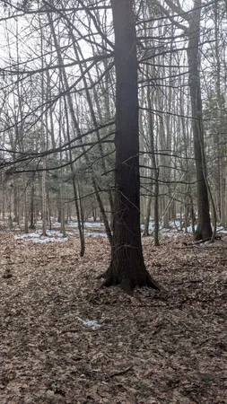 $27,900 | Opal Ridge Drive, Unit 68, Onekama, MI 49675