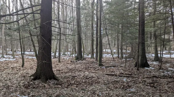 $27,900 | Opal Ridge Drive, Unit 68, Onekama, MI 49675
