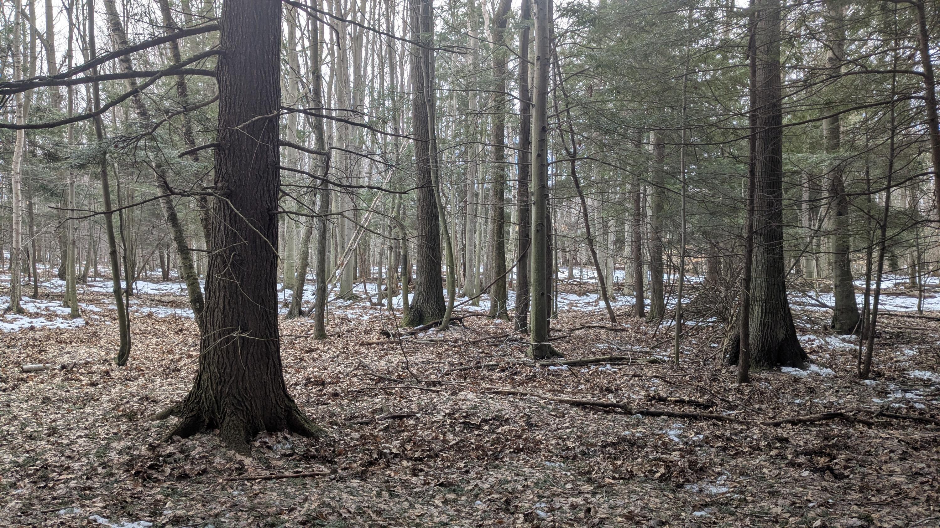 Opal Ridge Drive, Unit 68 Onekama, MI 49675 - Photo 7 of 35 Peaceful Setting