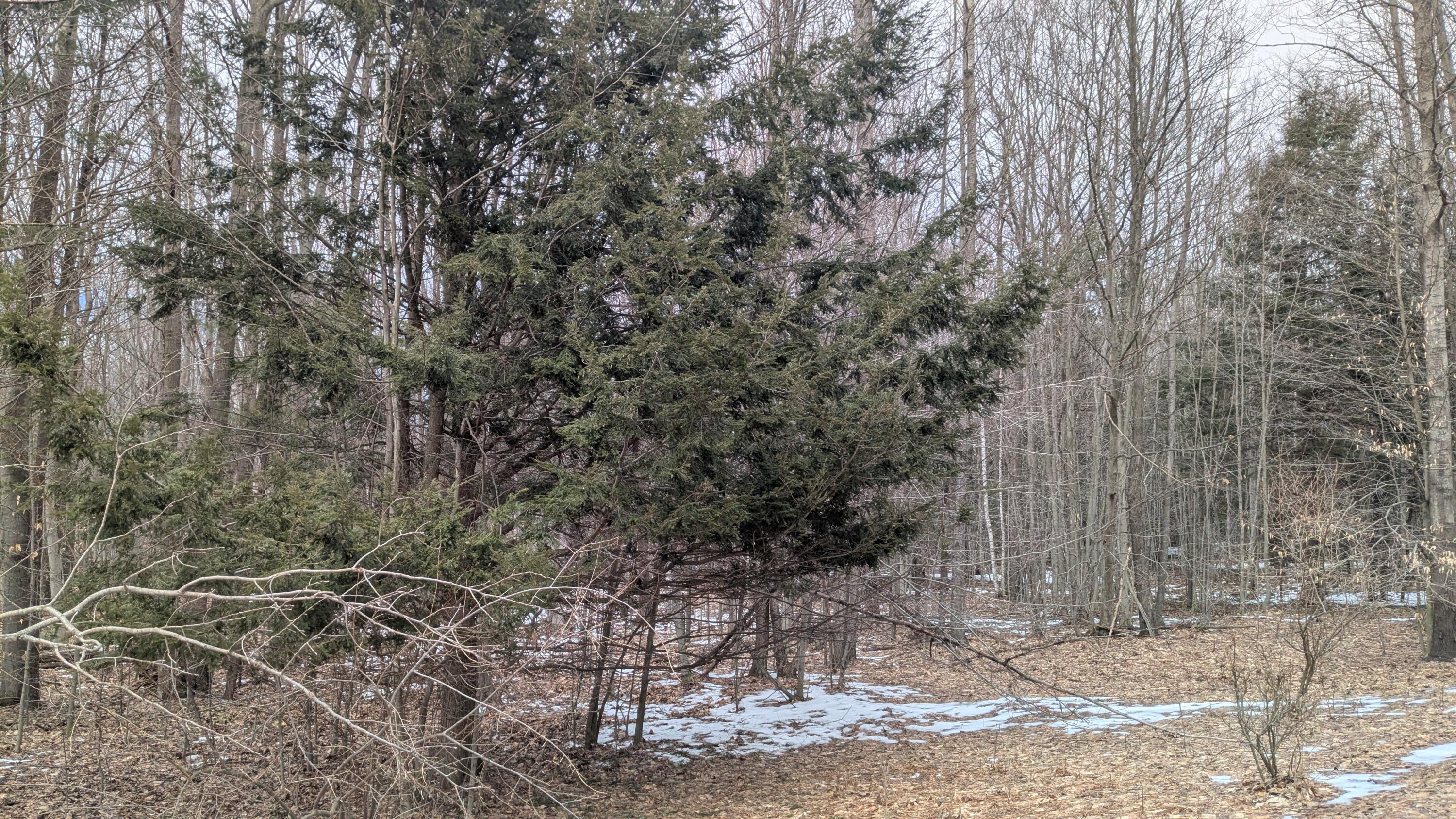 Opal Ridge Drive, Unit 68 Onekama, MI 49675 - Photo 8 of 35 Clear Area