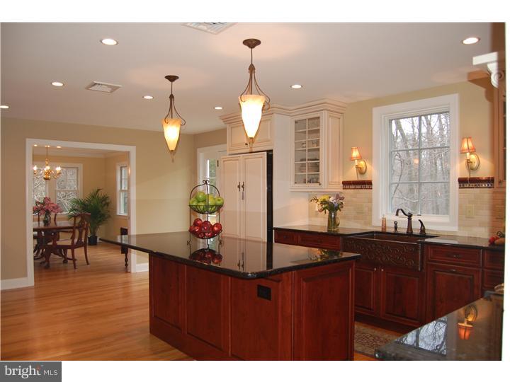 33 Old Covered Bridge Road Newtown Square, PA 19073 - Photo 8 of 24 Kitchen