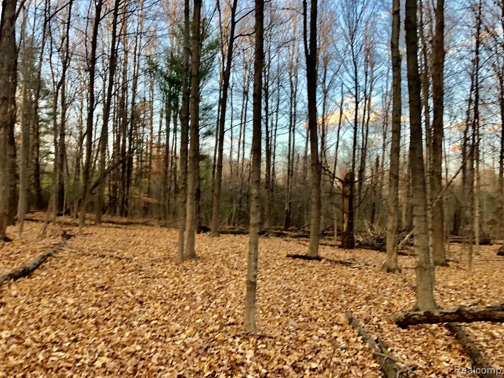 0 East Brocker Road Metamora, MI 48455 - Photo 13 of 25