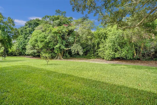 a view of yard with green space