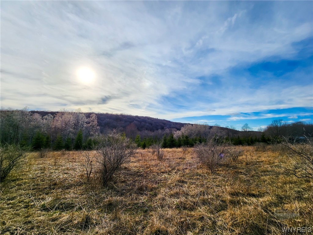 0 Quigg Hollow Road Andover, NY 14806 - Photo 12 of 19