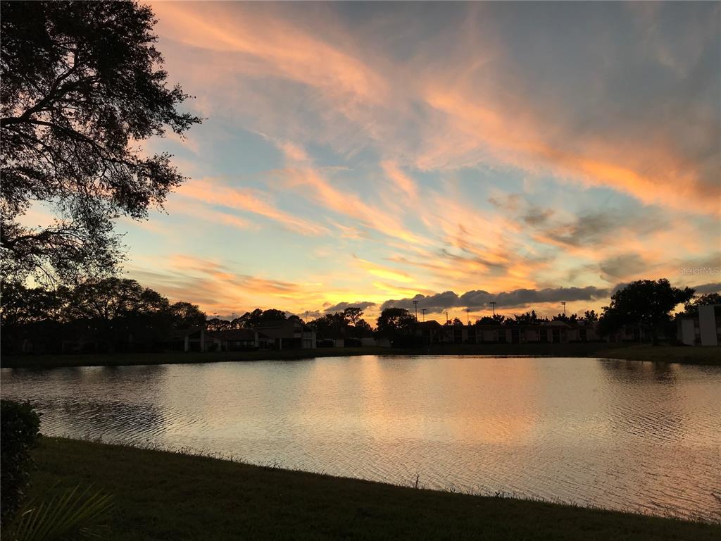 a view of lake with sunset