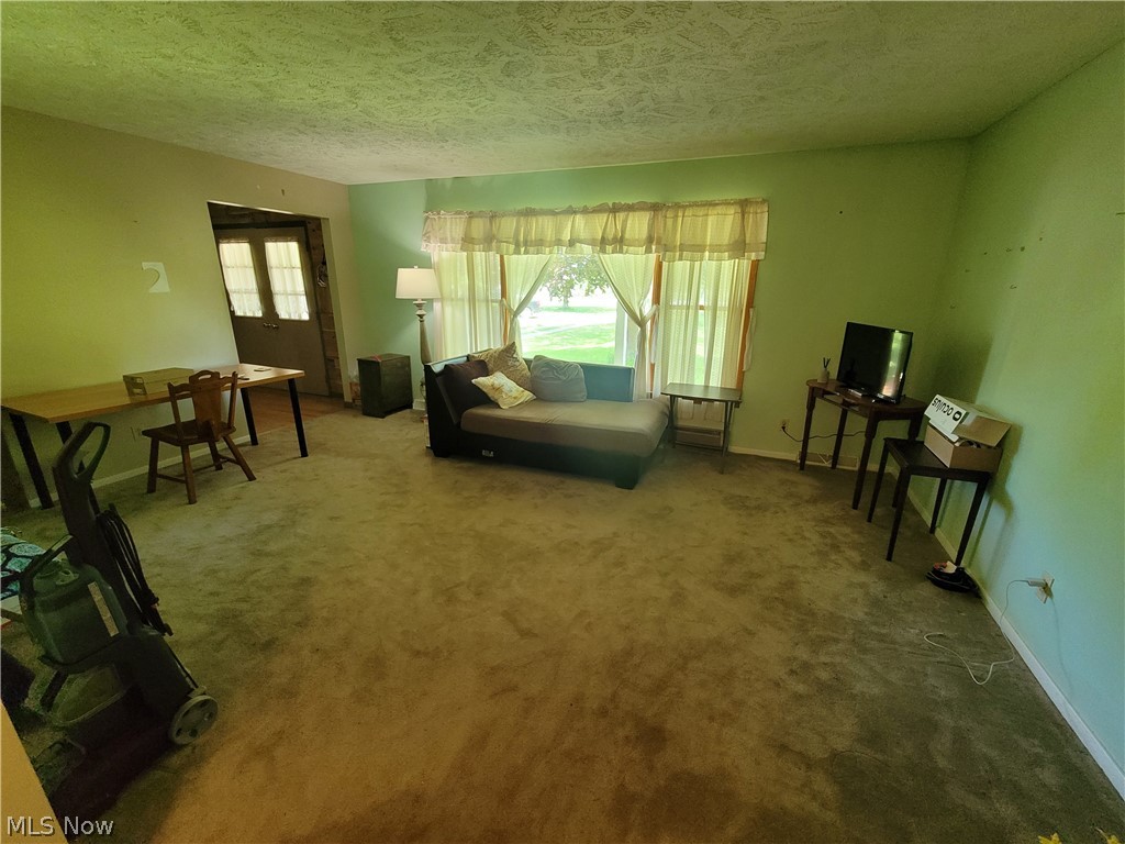 1130 Webster Road Jefferson, OH 44047 - Photo 10 of 14 Gallery Image 10