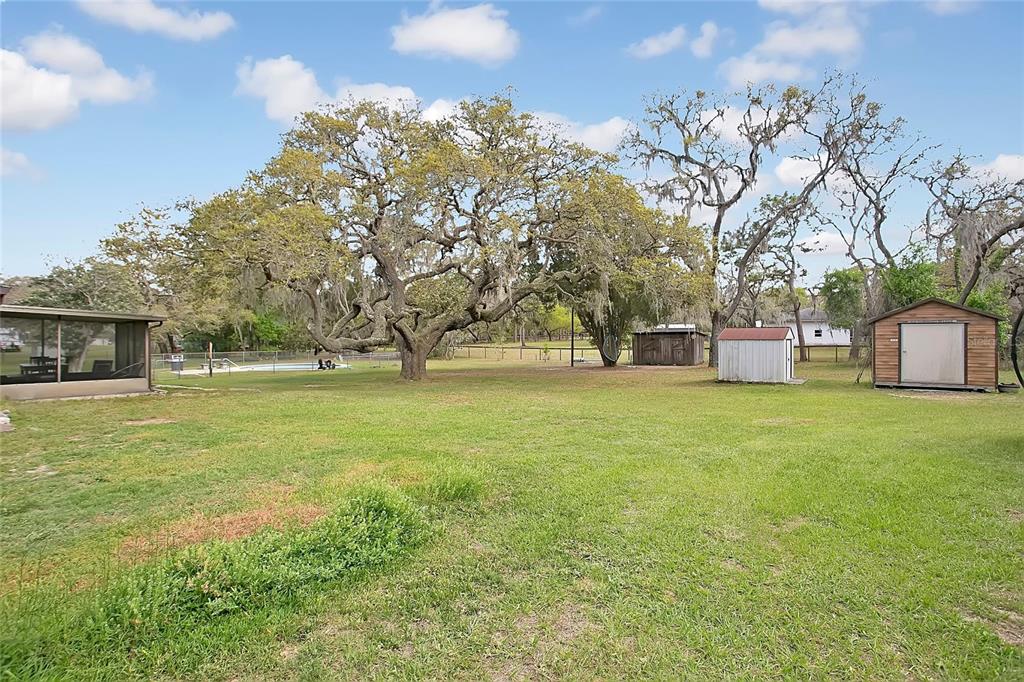 3116 East Buck Court Inverness, FL 34452 - Photo 28 of 35