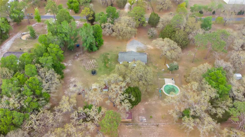 3116 East Buck Court Inverness, FL 34452 - Photo 33 of 35