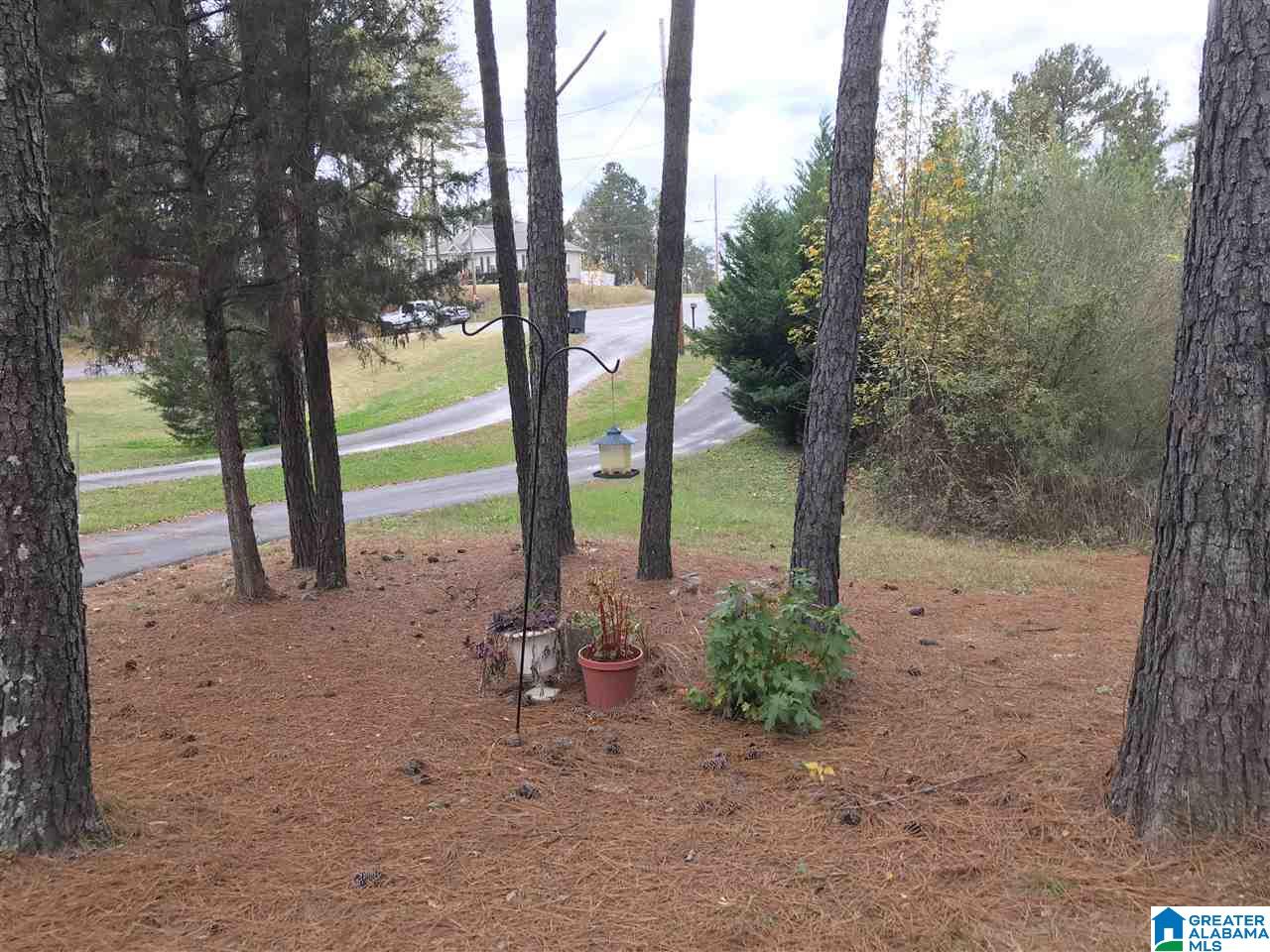 21 Seth Circle Warrior, AL 35180 - Photo 24 of 28