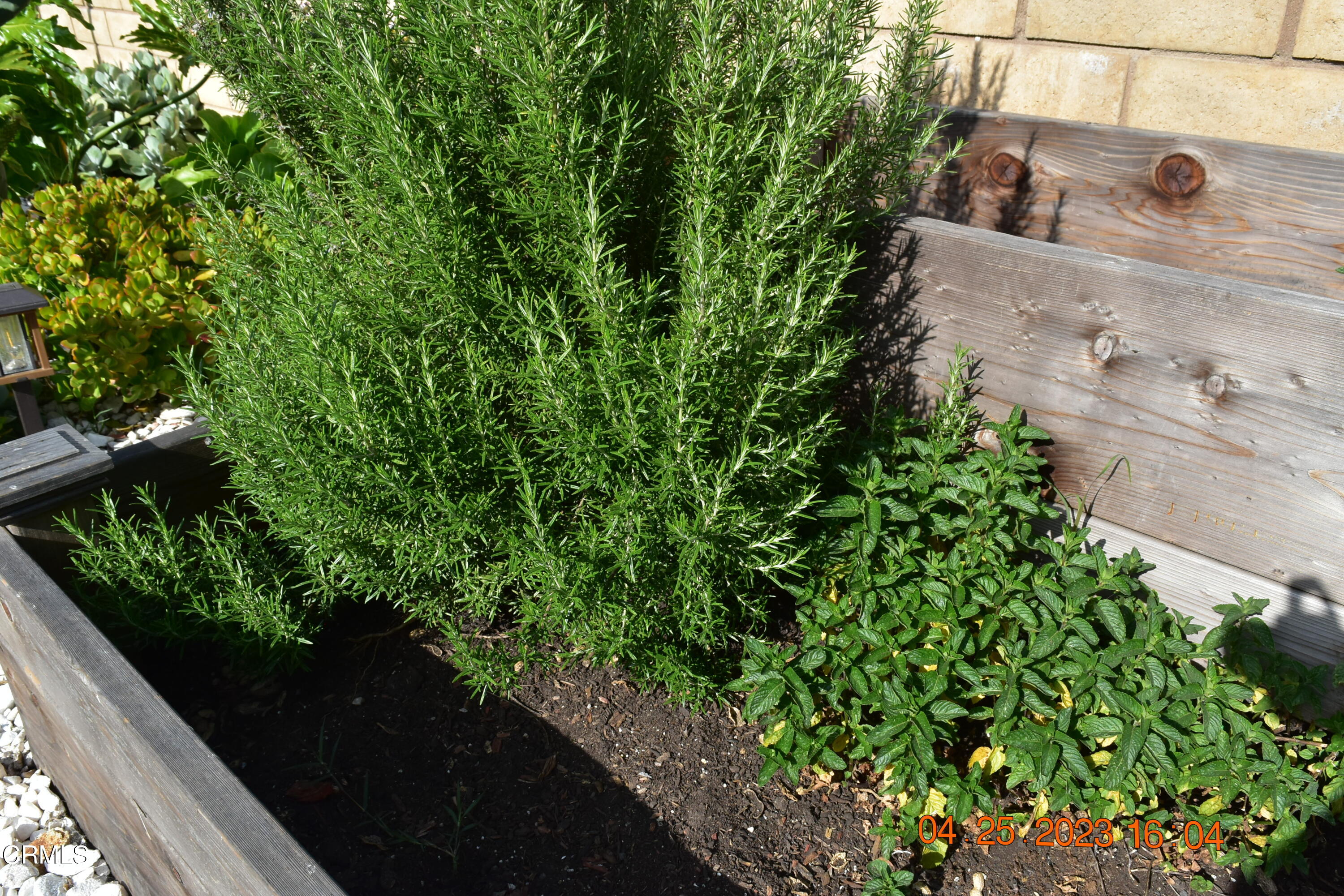 706 Princessa Drive Oxnard, CA 93030 - Photo 43 of 49 DSC_3110